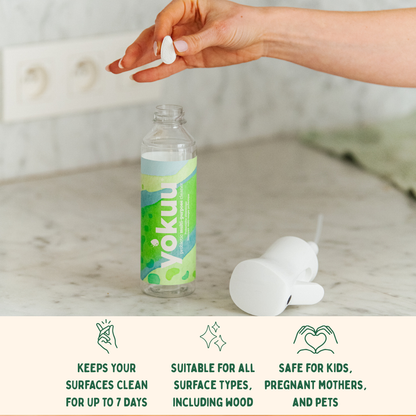 Mehrzweckreiniger Starter Kit